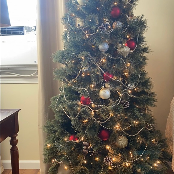 Meet your Posher, Lyra - Picture 1 of 1